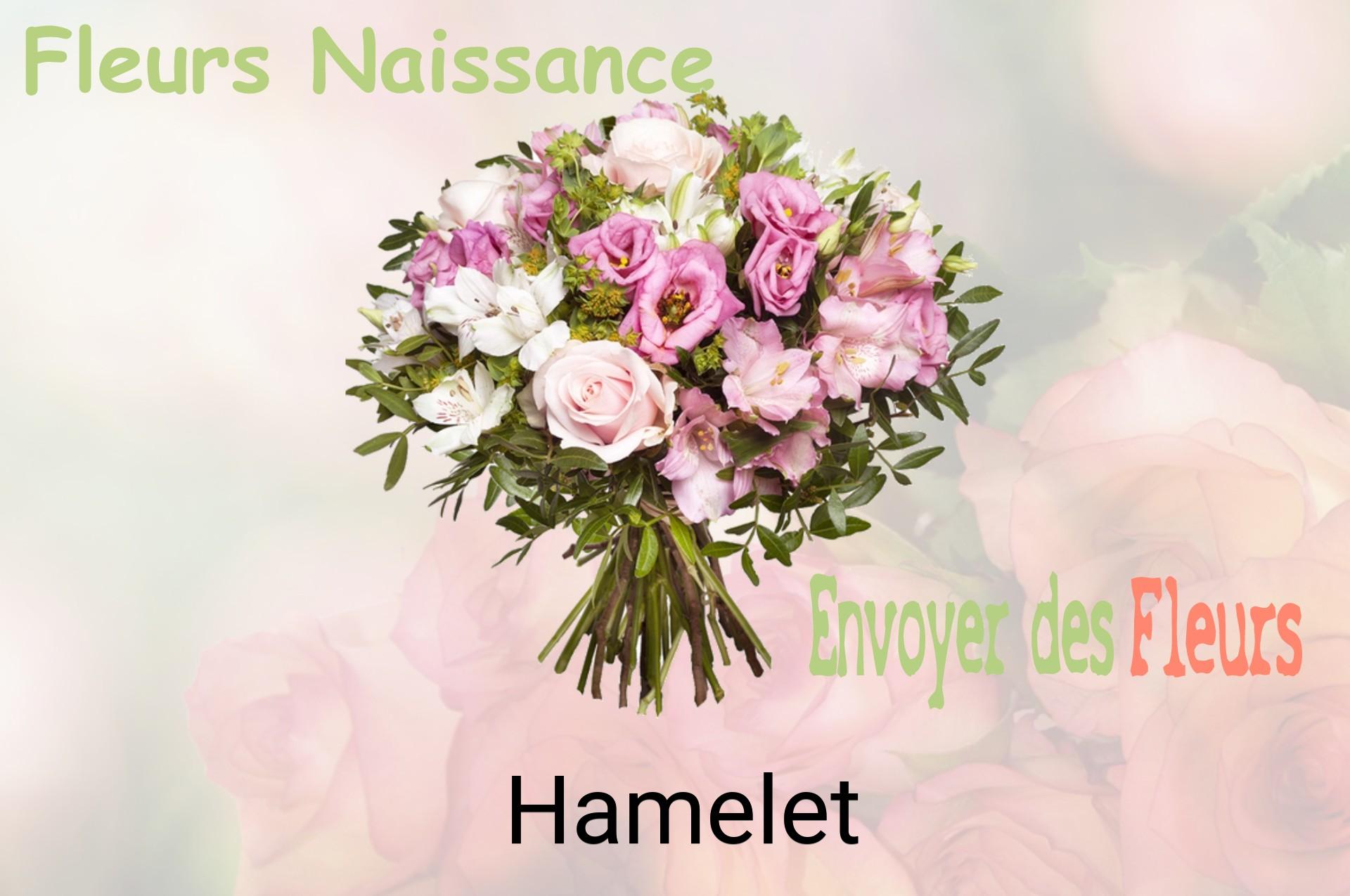 Bouquet de fleurs de naissance livré à Hamelet